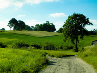 Fototapeta na wymiar Country landscape, typical Polish nature.
