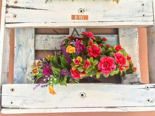 flowers on windowsill
