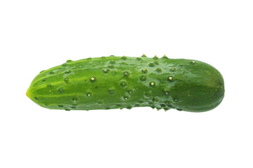 Green fresh cucumber. Close-up. Isolated object on white background. Isolate.