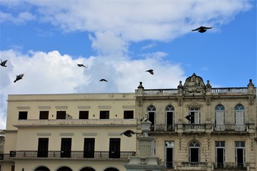 Fototapeta na wymiar Birds flying past old buildings, Old Square, Havana, Cuba.