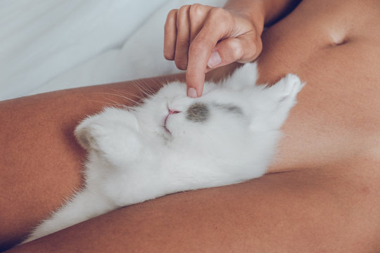 Crop nude female with bunny between legs