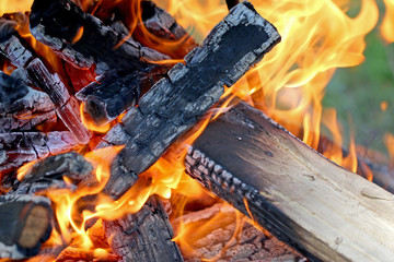 fire in the nature, fire for cooking in the nature