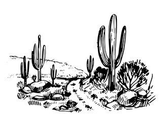 Sketch of the desert of America
