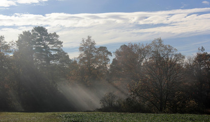 rayons de lumière