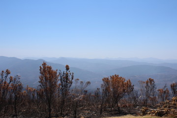 Spitskop, Knysna, Südafrika, Afrika, Berg, Aussicht, verbrannter Berg