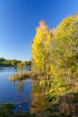 natural body of water. pond with reflections