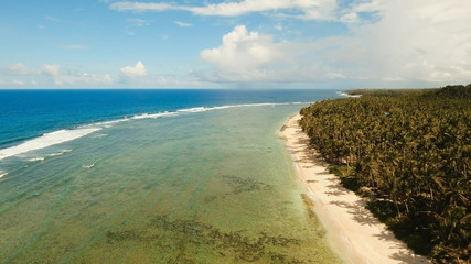 Beautiful tropical sand beach, palm trees. Aerial view of tropical beach on the island Siargao, Philippines. Tropical landscape: beach with palm trees. Seascape: Ocean, sky, sea . Philippines. Travel