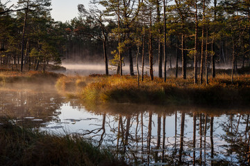 natural body of water. pond with reflections