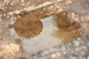 the world upside down