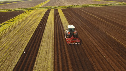 Farmer in tractor preparing land with seedbed cultivator in farmlands. Tractor plows a field. Agricultural work in processing, cultivation of land. Farmers preparing land and fertilizing. Agricultural