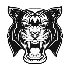 Tiger_0012