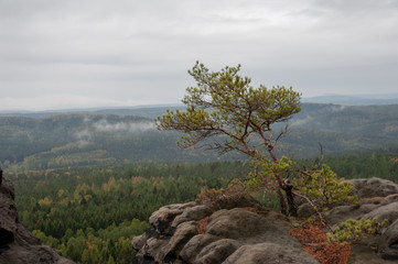 Saxony Switzerland in Autumn