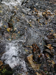 small multicolored stones on the bank of a mountain stream with crystal clear glacial water. Top view. yellow leaves in water, picture out of focus