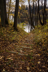 natural body of water. pond with reflections