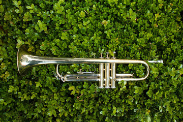 Trompeta 