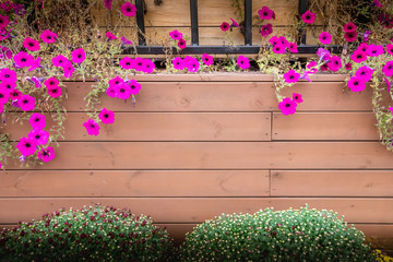 Fresh blooming pink flower hang on the wooden stripe background