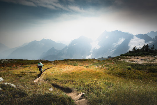 Female hiker is hiking on a meadown before reacing a pass in North Cascades National Park, Washington, USA. Northwest.