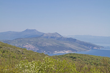 Fototapeta premium Auf der Halbinsel Koromacno in Istrien