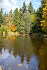 a little lake in a forest in autumn