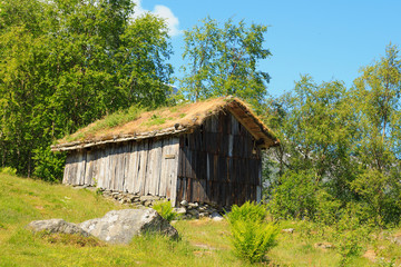 Old wooden barn with grass on the roof in Norway