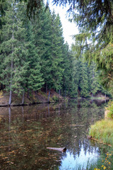 a lake in a forest in autumn