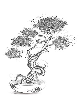 gezeichneter Bonsai Baum auf weißem Grund
