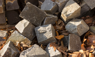 stone and leaves