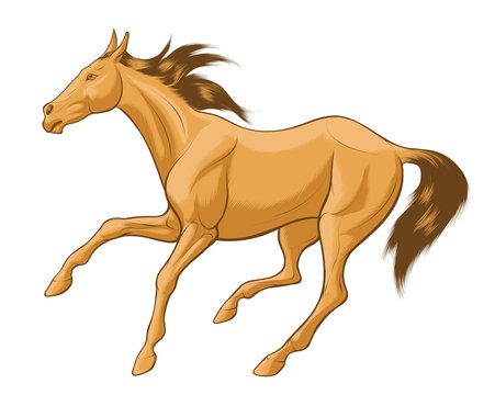 Quick sketch of beige horse with brown mane, galloping free. Vector clip art and design element for equestrian farms. Emblem of an agricultural animal.