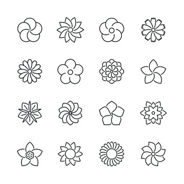 Flower related icons: thin vector icon set, black and white kit