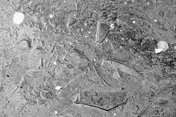 Dark ice surface with frozen sharp pieces of ice.