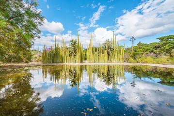 Beautiful reflection of cactus hall of the Ethnobotanical garden in Oaxaca, Mexico