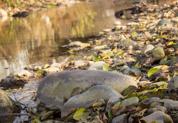 autumn leaves and stones in water
