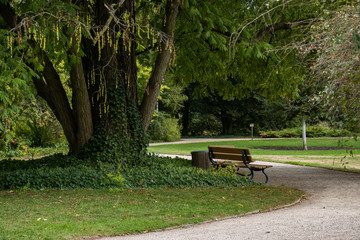 eine bank im park