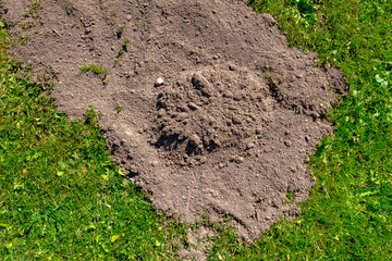 abstract texture sand pattern