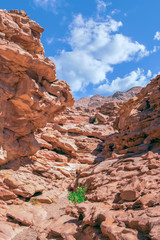 Colored canyon in Nuweiba Dahab