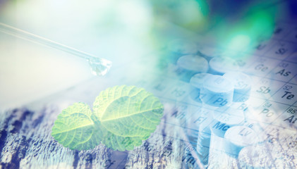 Fresh mint on rustic wooden background,selective focus droping and test tube ,cosmetic ,science concept