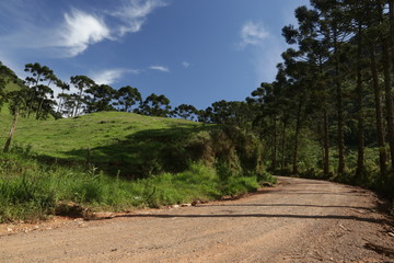 Fototapeta premium road in the mountains