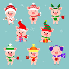Obraz na płótnie Canvas A set of eight pigs in different hats and a scarf. Hold a cup of various hot drinks and a gift. Happy New Year and Merry Christmas. The symbol of the Chinese New Year. Vector