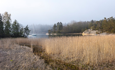 Rocky landscape near Ringsön Island, Stockholm archipelago, sweden