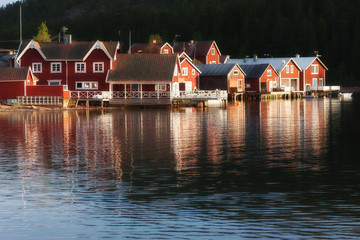 Fototapeta premium red houses at sunset in the fishing village of Norfaellsviken, Höga Kusten, Sweden