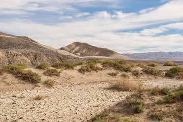 Sandige Düne Wüsten Landschaft 