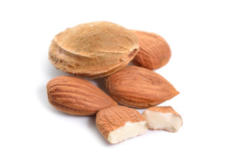 Shelled apricot kernel, close up isolated on white background.