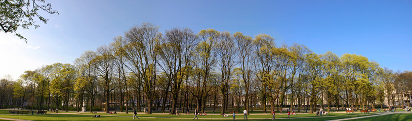 People walking on a Sunday afternoon in the Park of the Cinquentenaire in Brussels