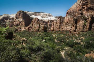 Fototapeta na wymiar A landscape of Zion National Park, Utah, USA