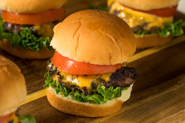 Homemade Cheeseburger Sliders with Tomato