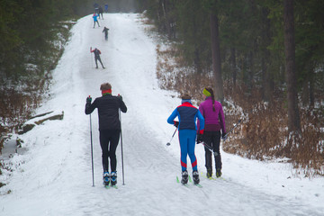 Cross Country Ski Race 