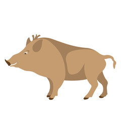 cartoon wild boar, vector illustration, flat style,