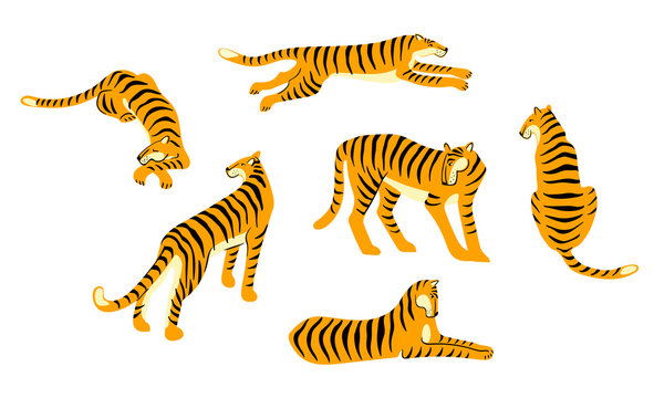 Vestor set of cute tigers. Trendy illustration.