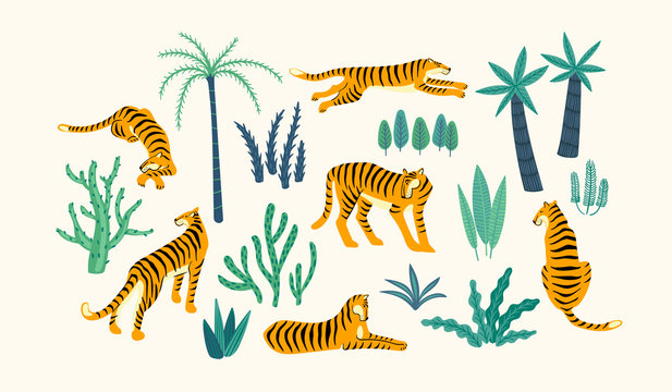Vestor set of tigers and tropical leaves.