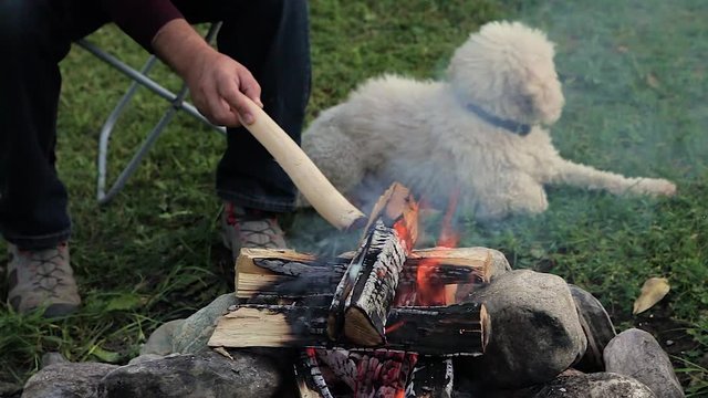 family vacation destination on the banks of the river in the mountains around the campfire. A middle-aged Caucasian man in a bard sweater playing with a white dog breed poodle. evening light 